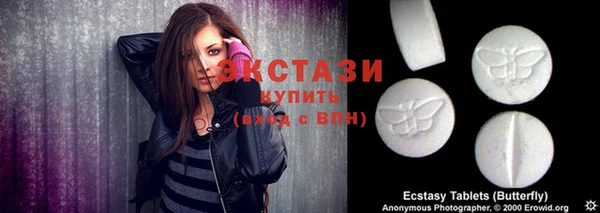 стаф Аркадак