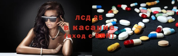 стаф Аркадак