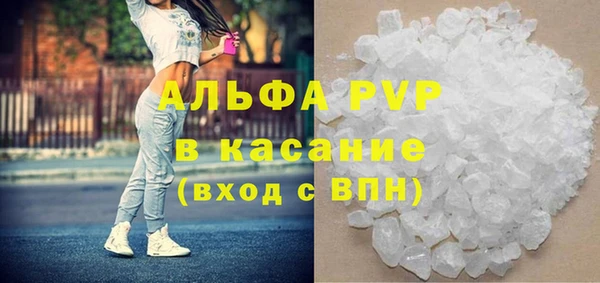 стаф Аркадак