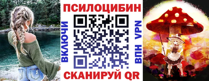 Псилоцибиновые грибы MAGIC MUSHROOMS купить закладку Цивильск